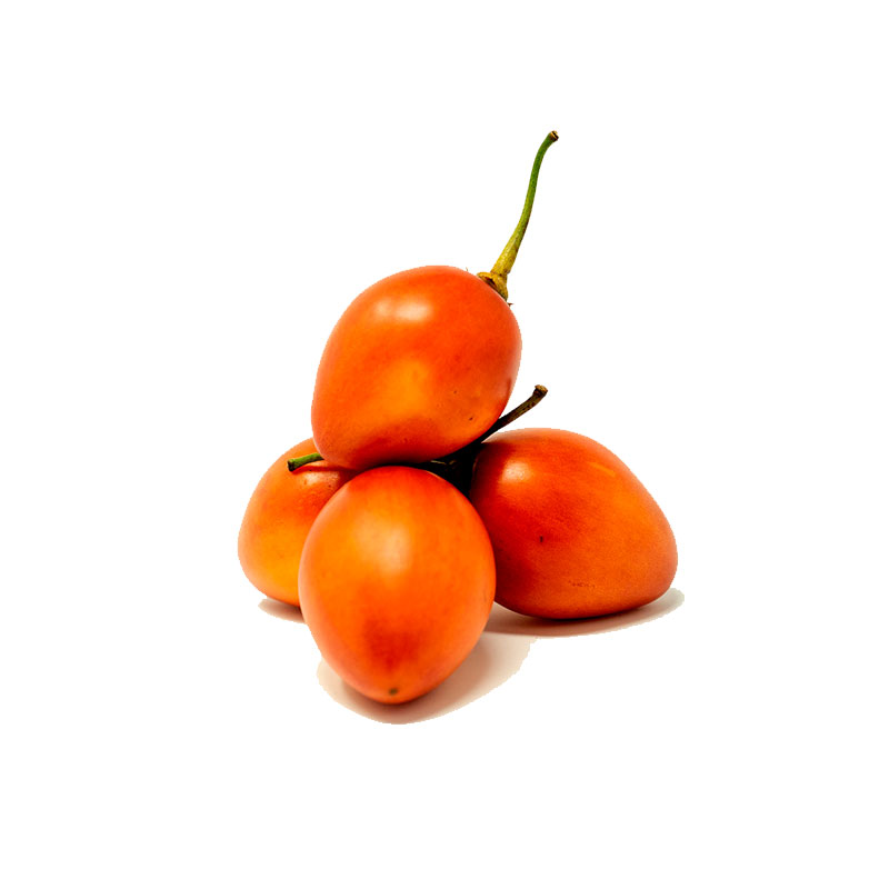 tomate de arbol