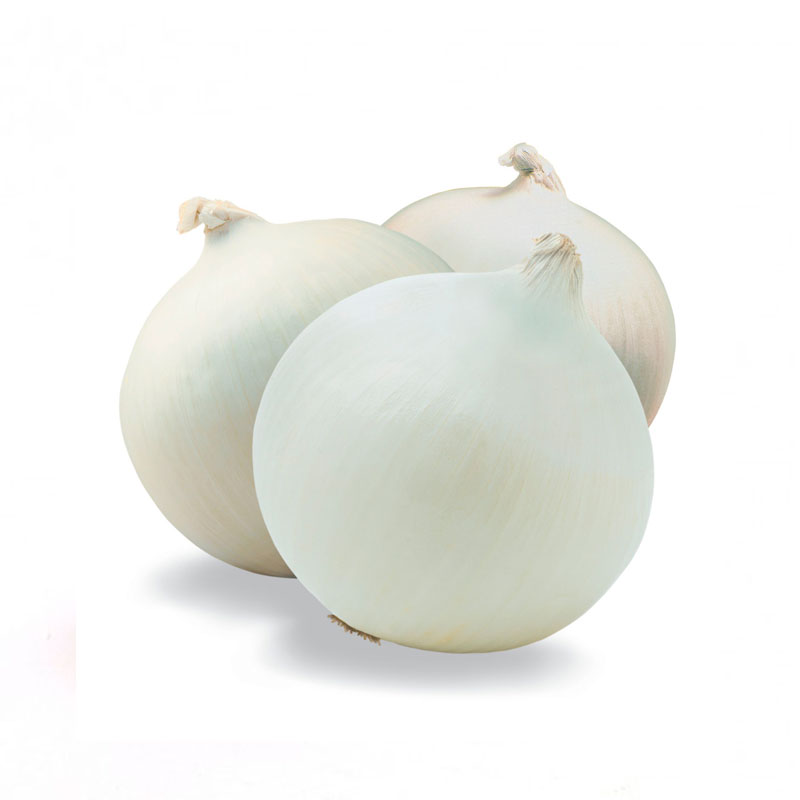 Cebolla Blanca